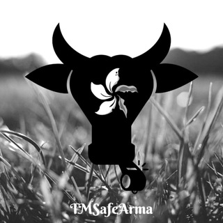 Telegram Group Picture