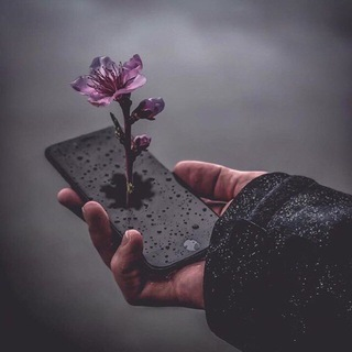 Telegram Group Picture