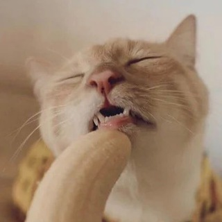 Telegram Group Picture