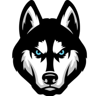 Telegram Group Picture