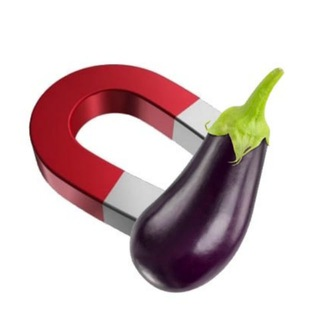 Telegram Group Picture